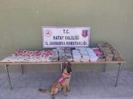 Suriye sınırı yakınlarındaki sazlıkta 110 kilo takoz esrar ele geçirildi