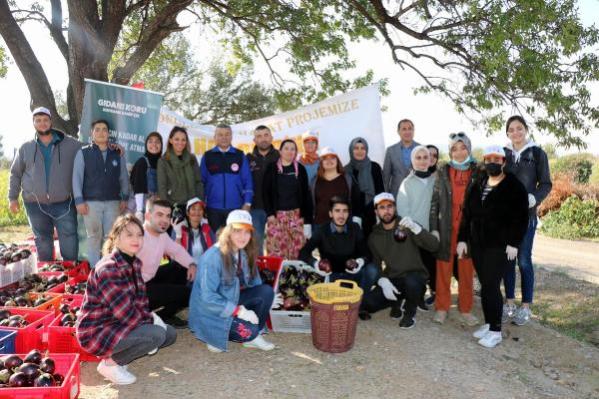 GÖNÜLLÜ GENÇLERİN ‘SON HASAT’ PATLICANLARI İHTİYAÇ SAHİPLERİNE