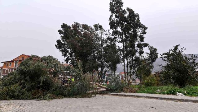 Fırtına İzmir’de ağaçları kökünden söktü, çatıları uçurdu