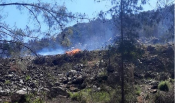 Marmaris’teki yangın büyümeden söndürüldü