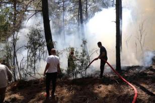 Muğla’da orman yangını