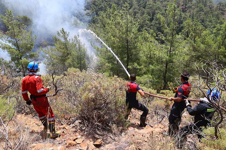 Marmaris’teki orman yangınını söndürme çalışmalarına gönüllülerden destek