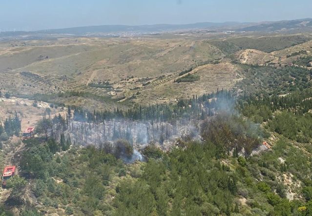 Seferihisar ilçesinde orman yangını çıktı