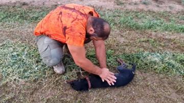 Avcı can dostunu köpeğini kalp masajı yaparak hayata döndürdü