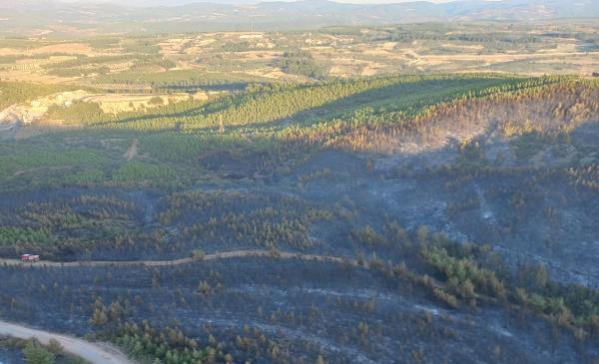 Soma’daki 16 saatlik orman yangınında 60 hektar alan zarar gördü