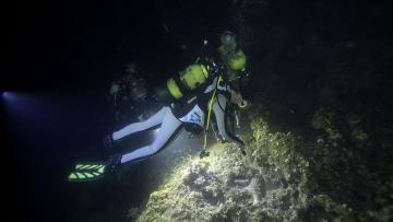 Karaburun’da su altının güzellikleri gece dalışıyla keşfediliyor