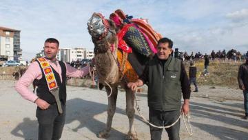 Balıkesir’de develer için havut hayrı yapıldı