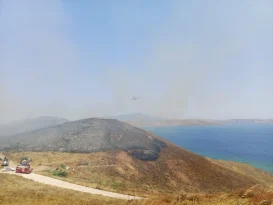 Avşa Adası’nda çıkan arazi yangını kontrol altına alındı