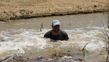 Aydın Ovası’nda çiftçilerin 44 derece sıcakta ekmek mücadelesi