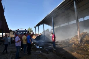 Balıkesir’de Hayvan Çiftliğinde Yangın Çıktı