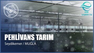 PEHLİVANS TARIM