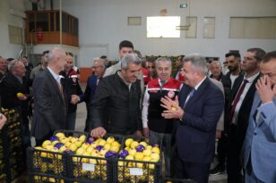 İzmir’in Satsuma Mandalinasının İlk İhracatı Gerçekleşti