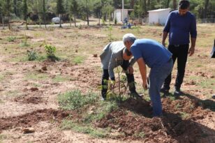 Muğla Büyükşehir Belediyesi, Kavaklıdere’de 14 Dönüm Arazide Deneme Bahçesi Oluşturdu