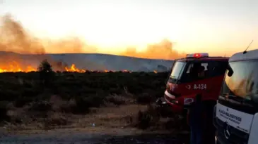 İzmir Aliağa’da Otluk Alanda Yangın Kontrol Altına Alındı