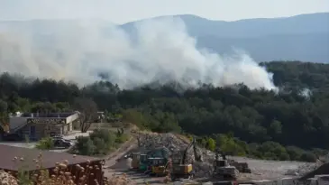 İzmir’de yine yangın çıktı! Urla’dan alevler yükseldi