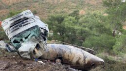 Datça’da virajı alamayan tır devrildi: 1 yaralı