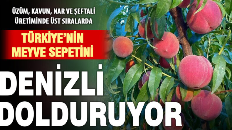 Türkiye’nin meyve sepetini Denizli renklendiriyor
