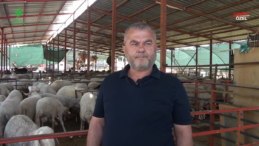 Yörük Besicilik: Doğal ve Kaliteli Et Ürünleri