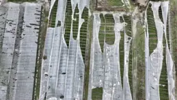 Muğla’da Hortum Seralara Zarar Verdi