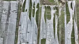 Muğla’da Hortum Seralara Zarar Verdi