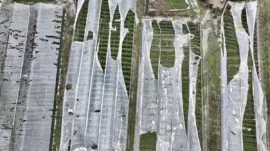 Muğla’da Hortum Seralara Zarar Verdi