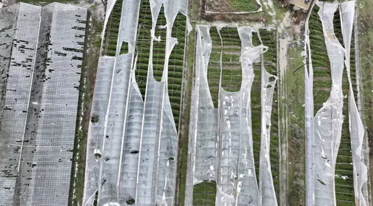 Muğla’da Hortum Seralara Zarar Verdi