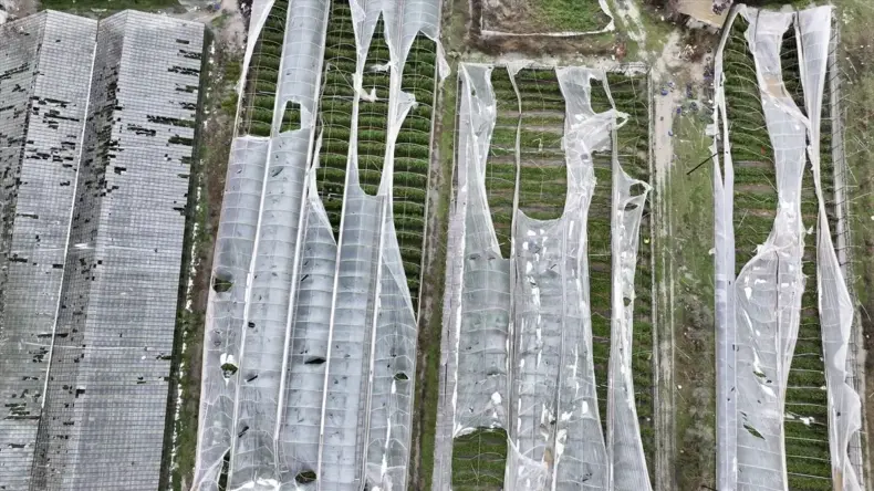 Muğla’da Hortum Seralara Zarar Verdi