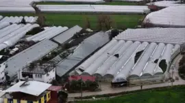 Seydikemer’de hortum, fırtına ve dolu seraları vurdu