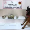 Van’da Uyuşturucu Operasyonu: 224 Kilo Ele Geçirildi