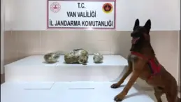 Van’da Uyuşturucu Operasyonu: 224 Kilo Ele Geçirildi