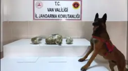 Van’da Uyuşturucu Operasyonu: 224 Kilo Ele Geçirildi