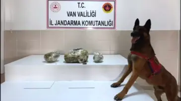 Van’da Uyuşturucu Operasyonu: 224 Kilo Ele Geçirildi