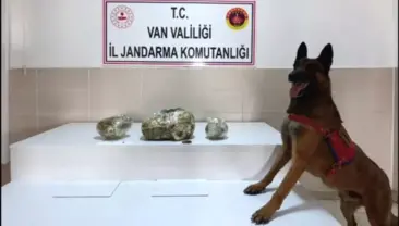 Van’da Uyuşturucu Operasyonu: 224 Kilo Ele Geçirildi