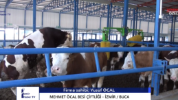 Mehmet Öcal Besi Çiftliği: Sağlıklı ve Kaliteli Et Ürünleri