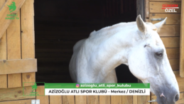 Azizoğlu Atlı Spor Kulübü | Binicilik Tutkusunun Adresi 🐎