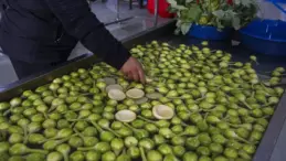 Sakız Enginarında Rekor Verim Bekleniyor